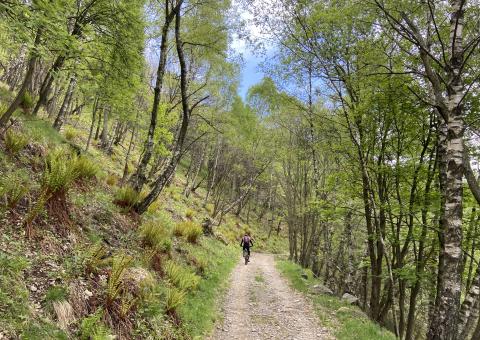 Salita al Legnoncino