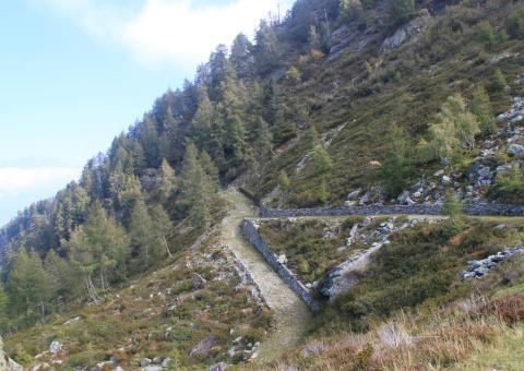 Dettagli e prospettive