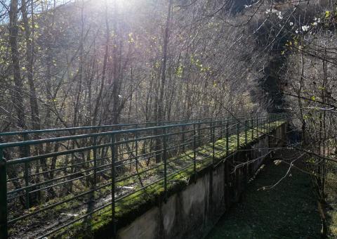 Ponte lungo il percorso 