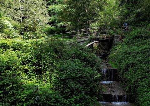 Ponte lungo il percorso 