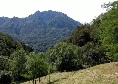 Scorcio sulla Valsassina 