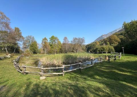 Stagno del Pozzal 