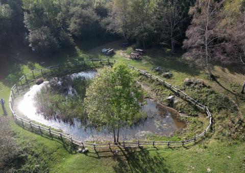 Stagno di Ortanella 