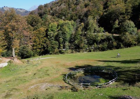 Stagno lungo il sentiero 