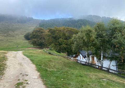 Piani delle Betulle 
