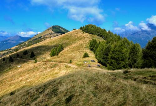 11V Pian delle Betulle-Rifugio Ombrega 
