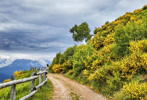 14V Bellano-Alpe di Camaggiore 